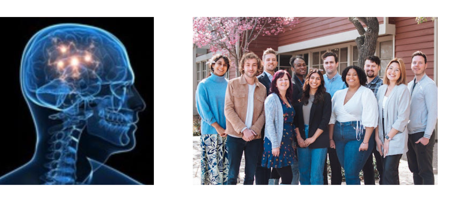 BRAIN Lab